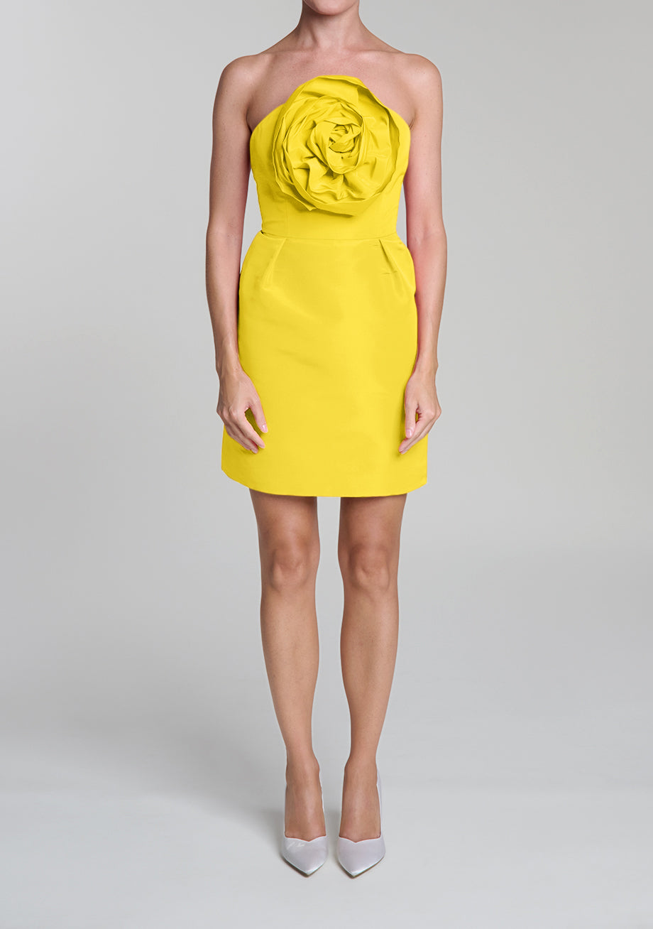 Ivette Silk Faille Mini Dress Ivette Silk Faille Mini Dress