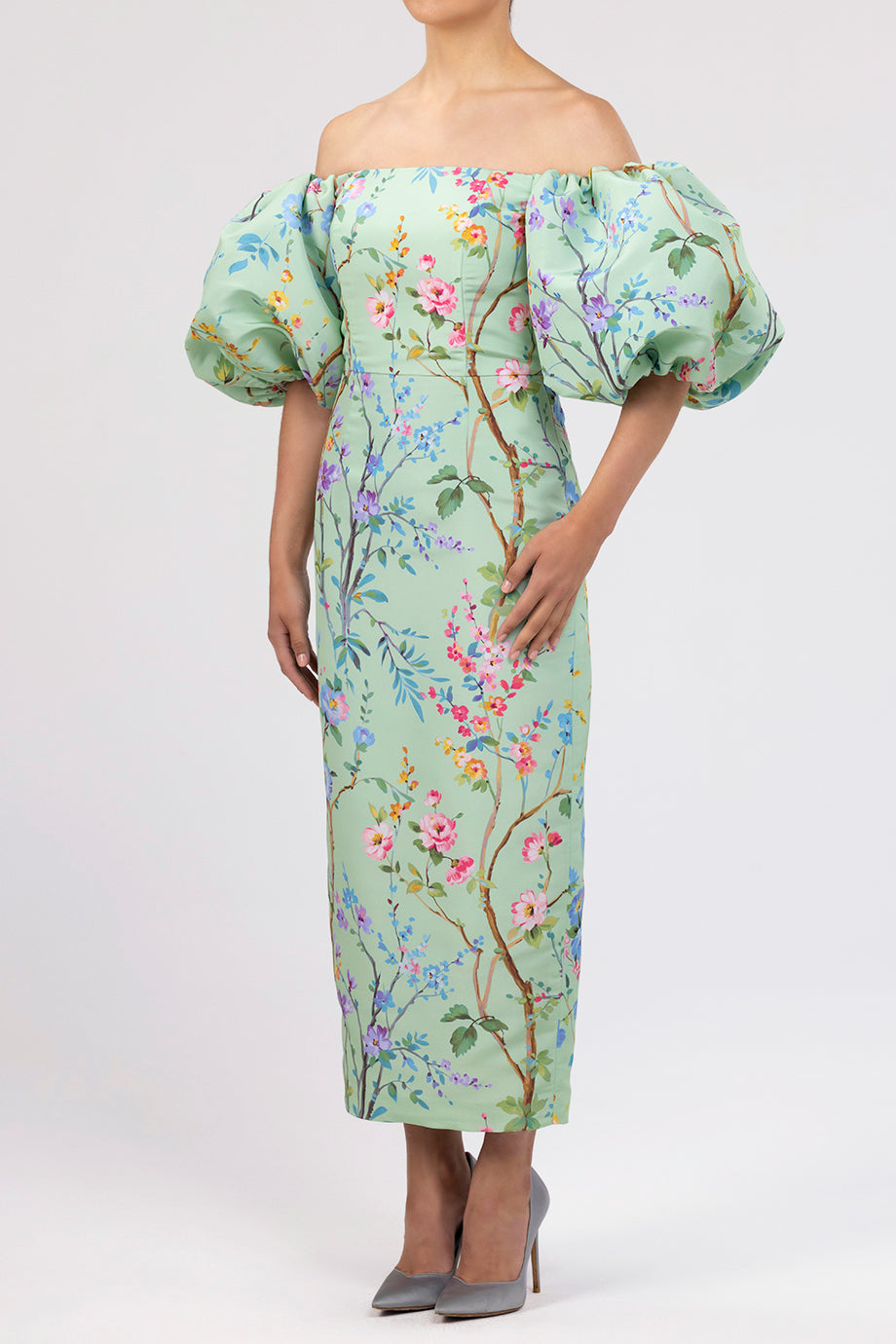 Sylvia Garden Reverie Silk Faille Midi Dress