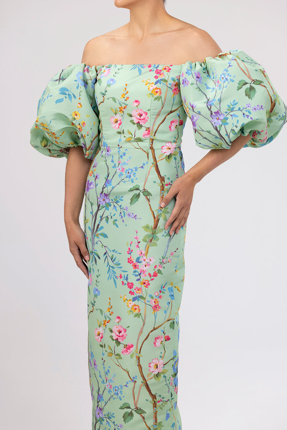 Sylvia Garden Reverie Silk Faille Midi Dress