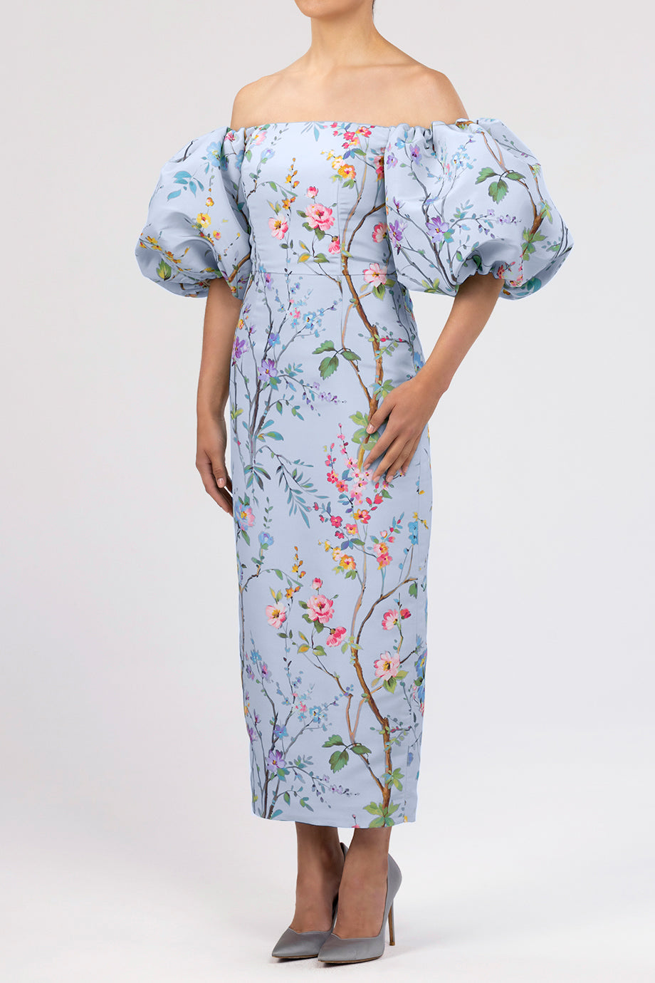 Sylvia Garden Reverie Silk Faille Midi Dress