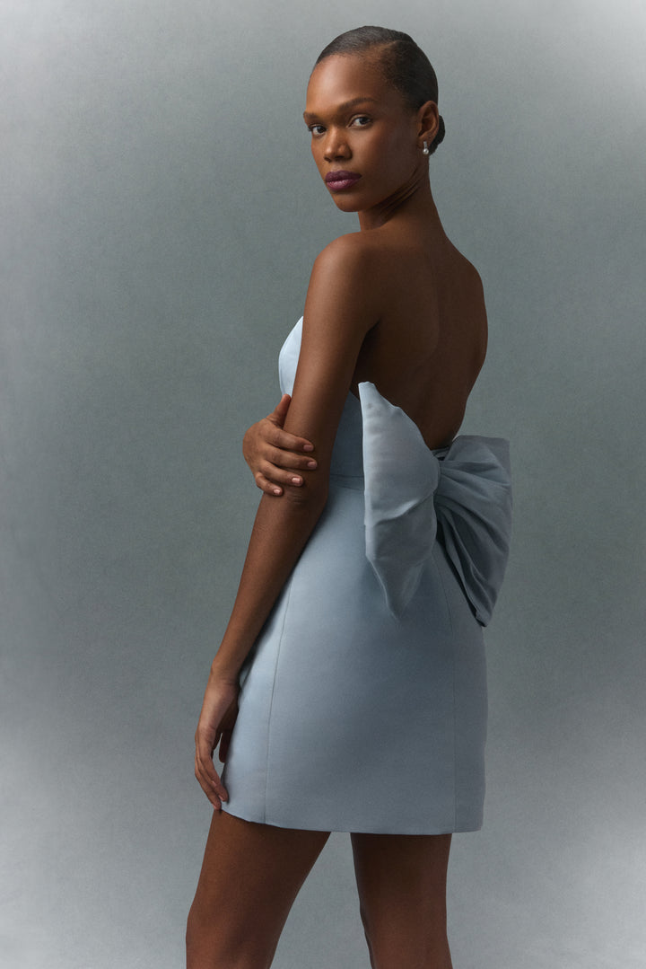 Strapless Bow Back Silk Faille Mini Dress